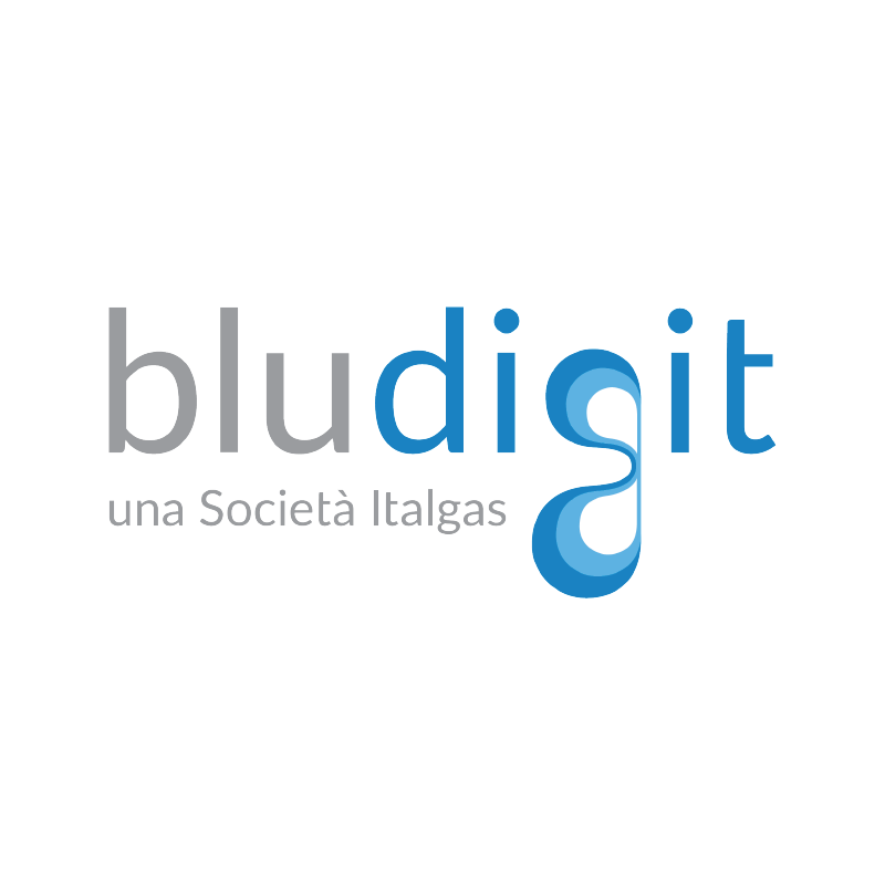 MSD11 - Bludigit icona website -16